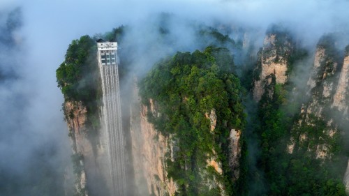 백용엘리베이터(편도)