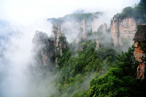 장가계 국가삼림공원